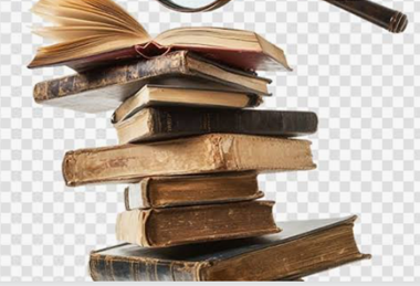 The similarities and differences between history and literature in English